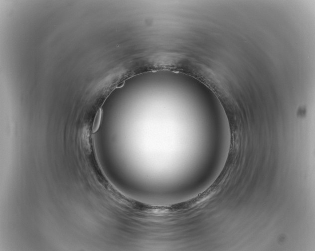 X0000094200575200711021054