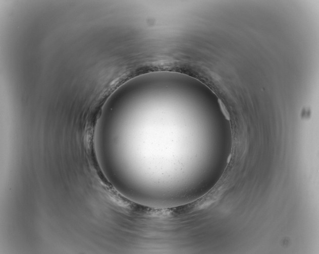 X0000094200576200711021054
