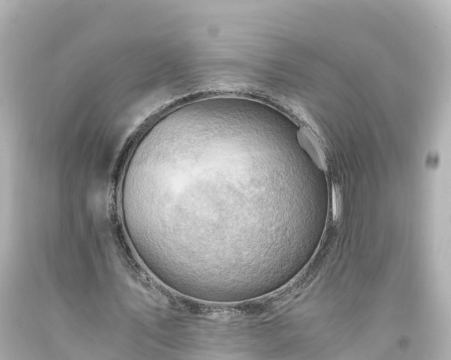 X0000094200579200711021054