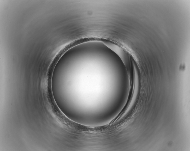 X0000094200580200711021054