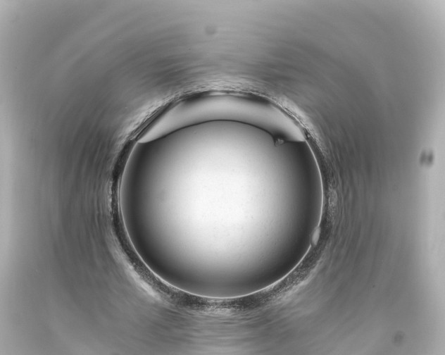 X0000094200581200711021054