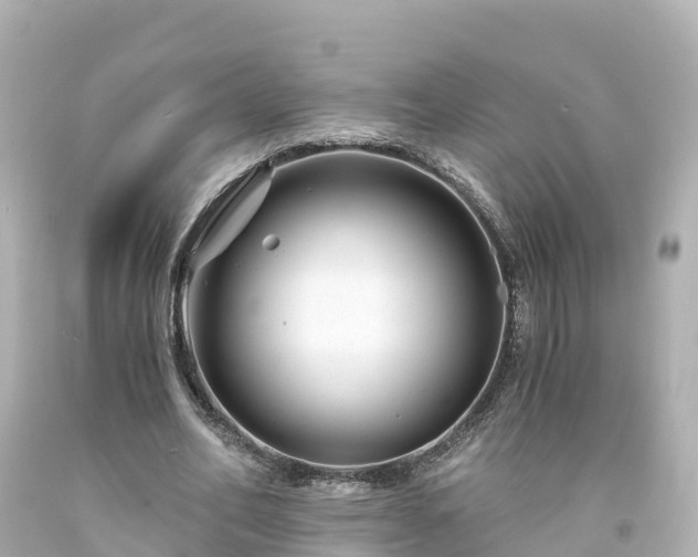 X0000094200582200711021054