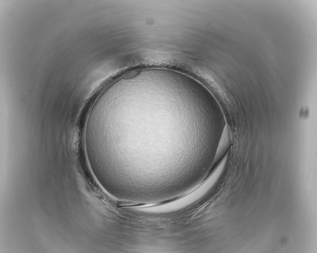 X0000094200583200711021054