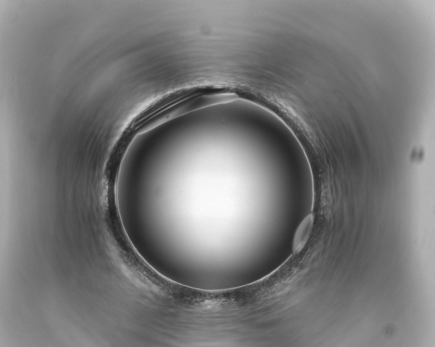 X0000094200584200711021054