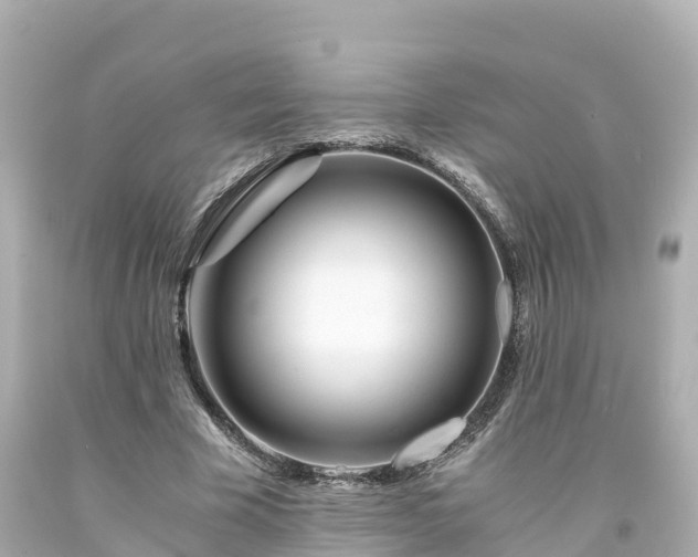 X0000094200585200711021054
