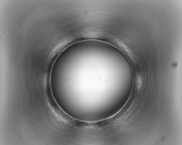 X0000094200586200711021054