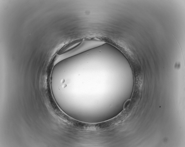 X0000094200587200711021054