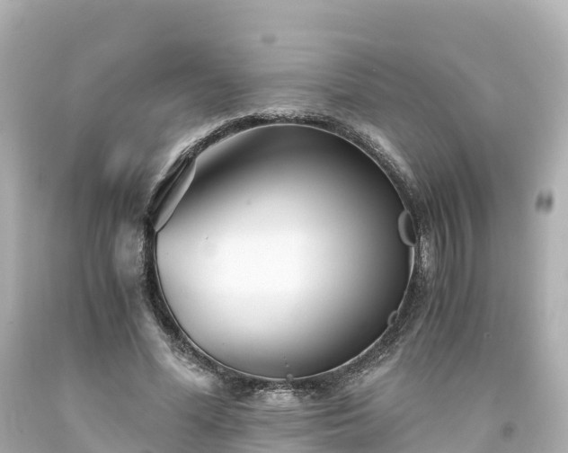 X0000094200588200711021054