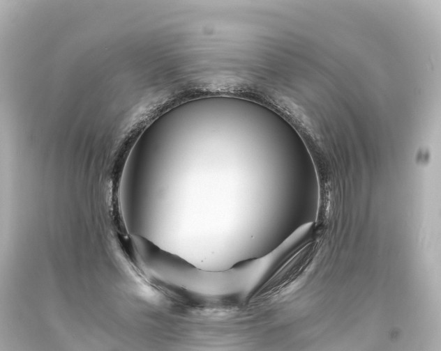 X0000094200589200711021054