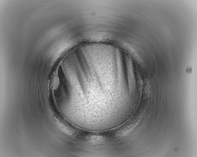X0000094200590200711021054