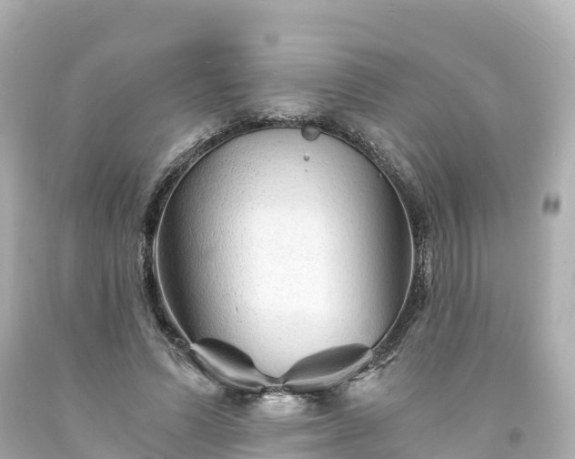 X0000094200591200711021054