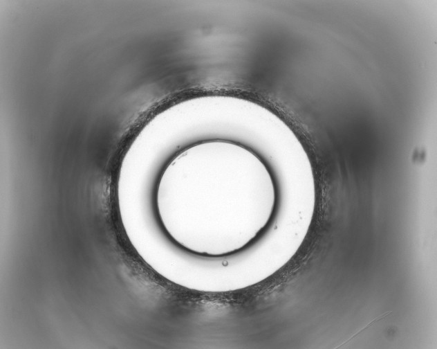 X0000094200592200711021054
