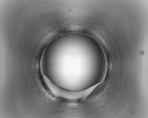 X0000094200593200711021054