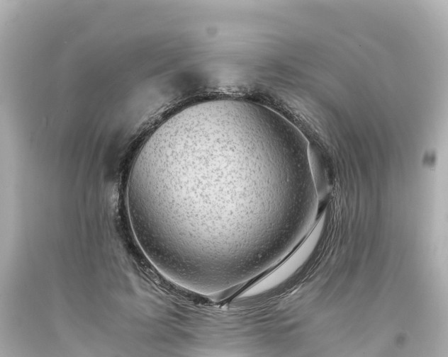 X0000094200595200711021054