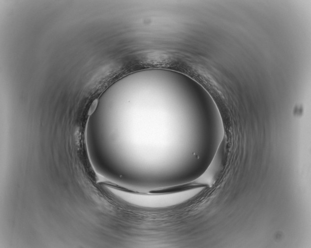 X0000094200597200711021054