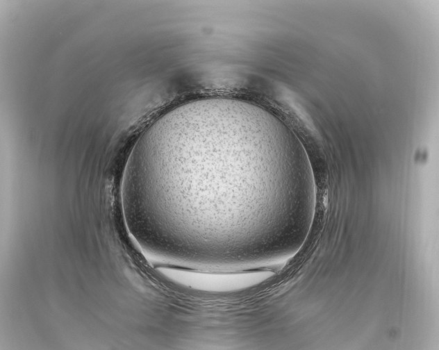 X0000094200599200711021053