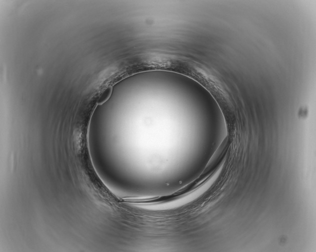 X0000094200600200711021053