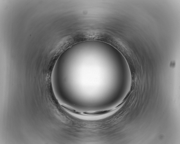 X0000094200601200711021053
