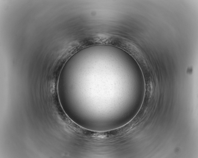 X0000094200602200711021053