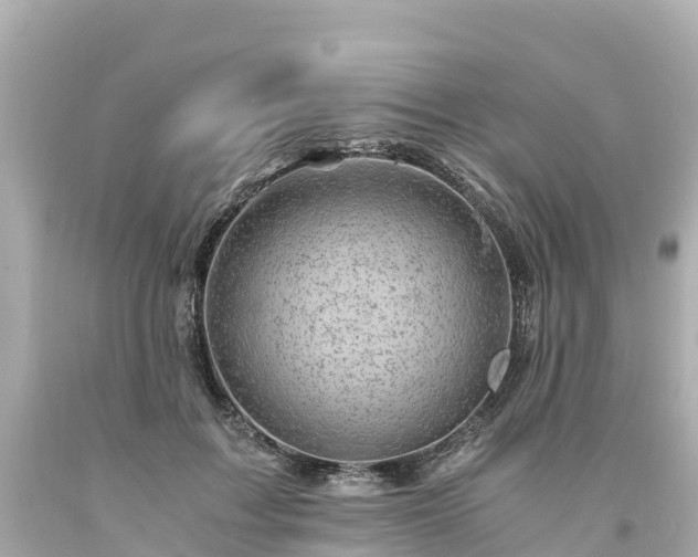 X0000094200603200711021053