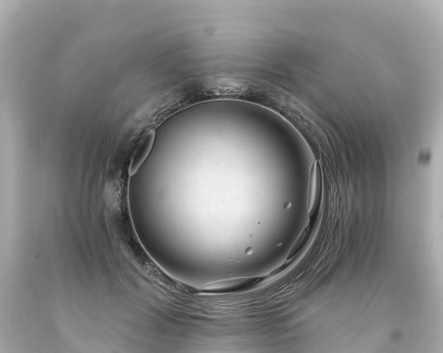 X0000094200604200711021053