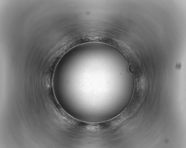 X0000094200606200711021053