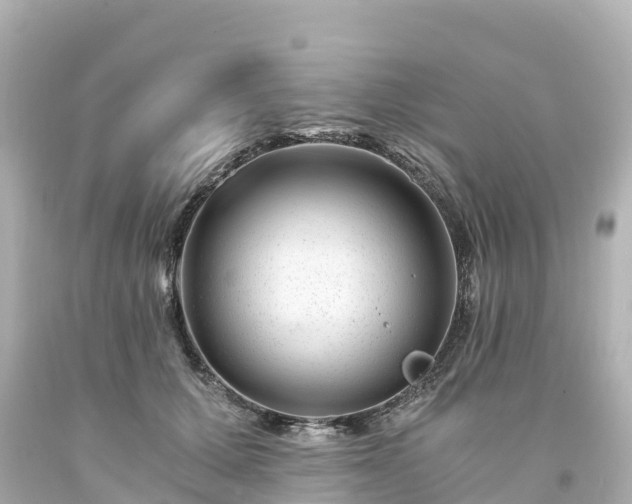X0000094200607200711021053