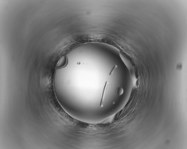 X0000094200608200711021053