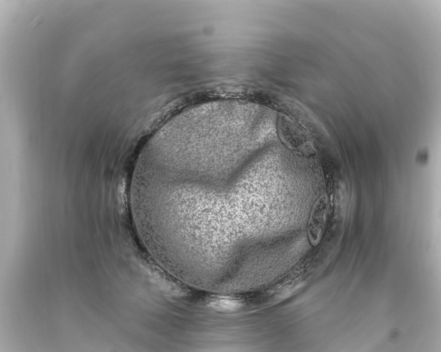 X0000094200610200711021053