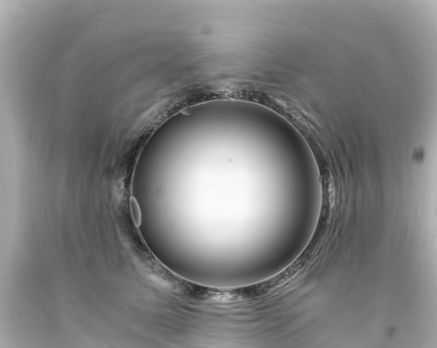 X0000094200611200711021053