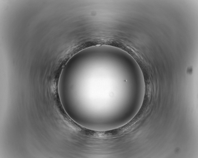 X0000094200613200711021053