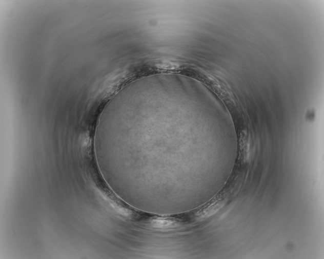 X0000094200614200711021053