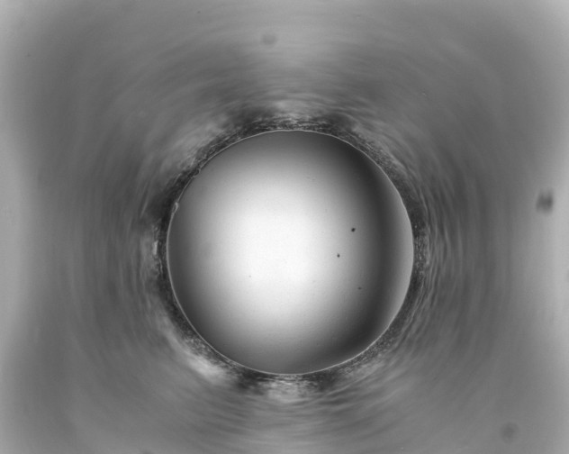 X0000094200615200711021053