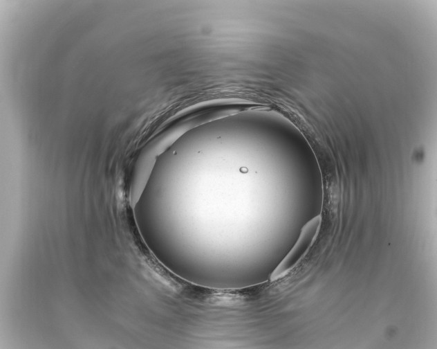 X0000094200617200711021053