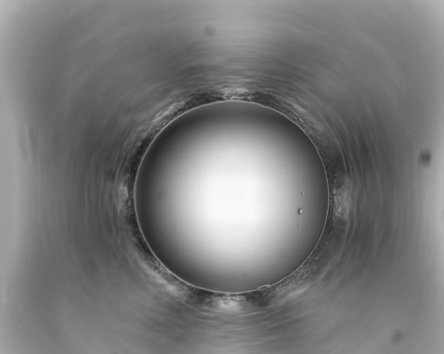 X0000094200618200711021053