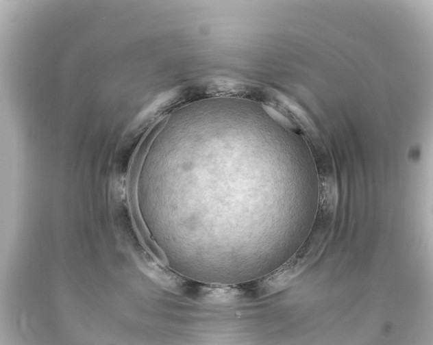 X0000094200621200711021053