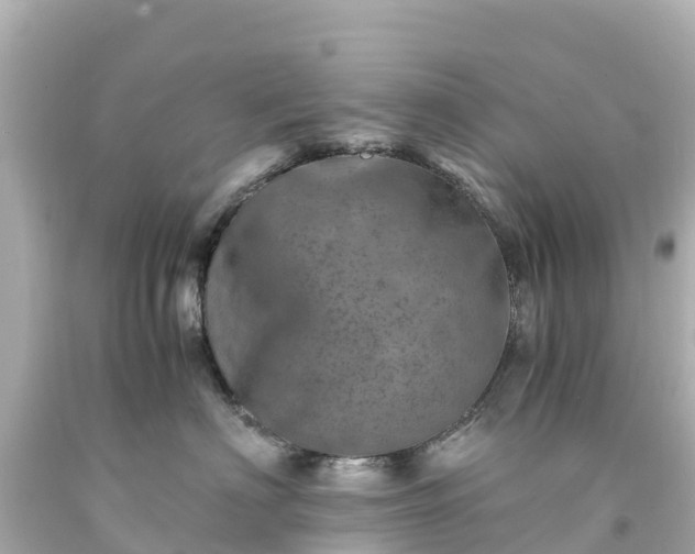 X0000094200622200711021053