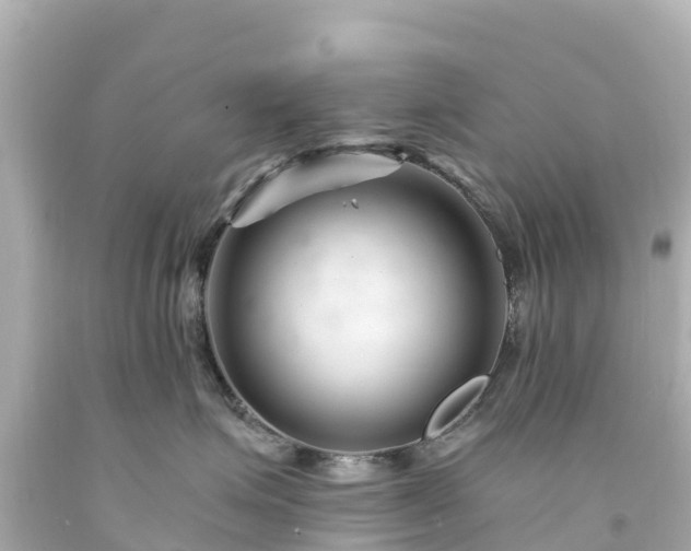 X0000094200623200711021053