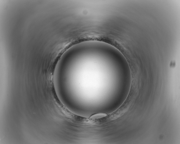 X0000094200624200711021053