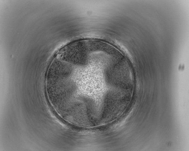 X0000094200625200711021052