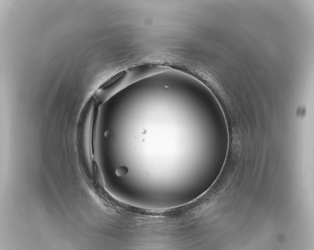 X0000094200626200711021052