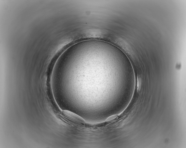 X0000094200627200711021052
