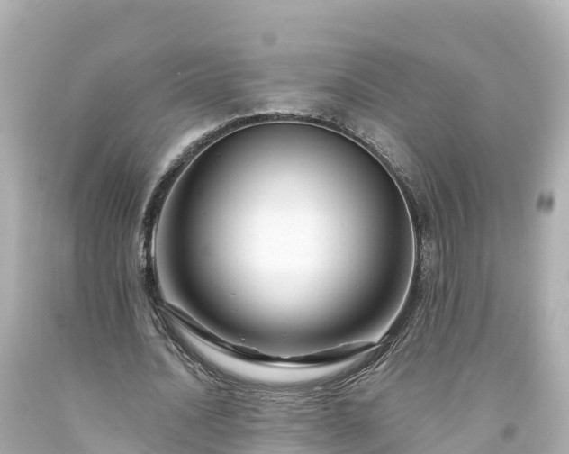 X0000094200628200711021052