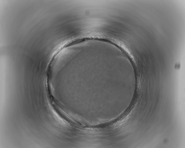 X0000094200629200711021052