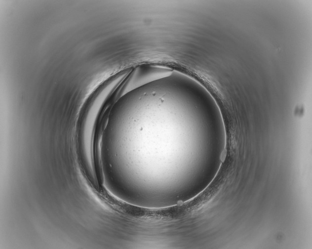 X0000094200630200711021052