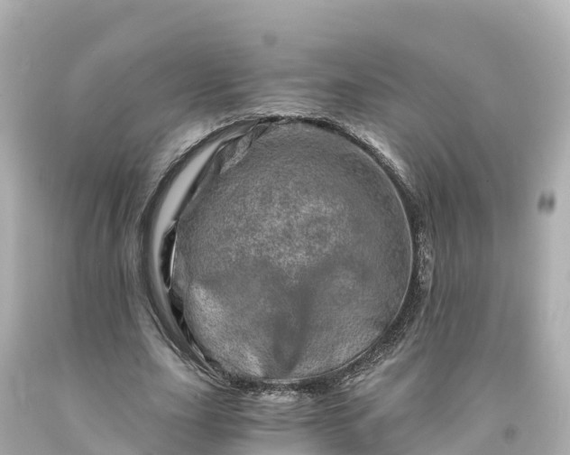 X0000094200631200711021052