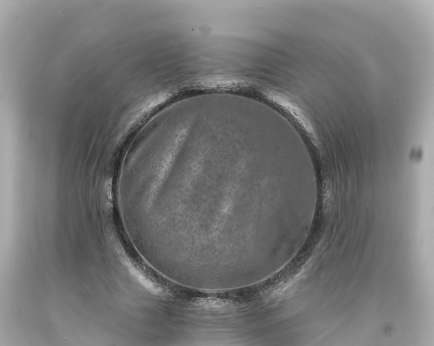 X0000094200633200711021052