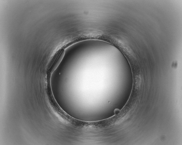 X0000094200634200711021052
