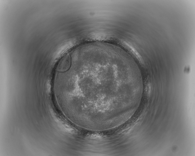 X0000094200635200711021052