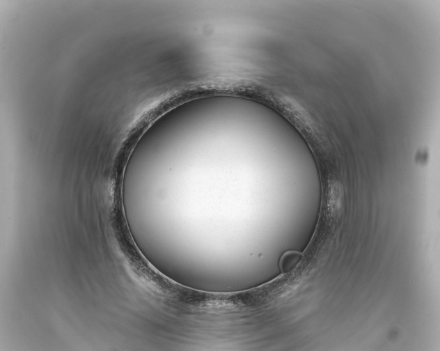X0000094200636200711021052